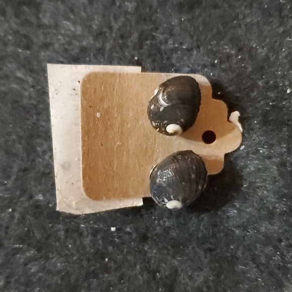 Assorted Shell Earrings - Picture 15 of 16